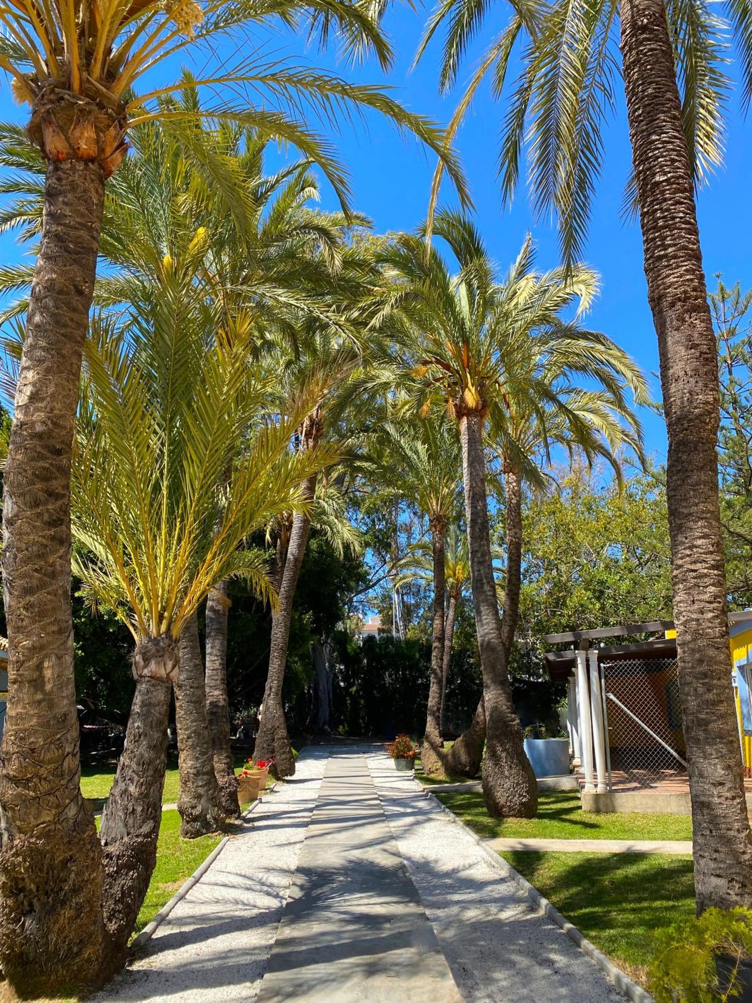 Cortijo La Saleta Banus Apartment Marbella Bagian luar foto